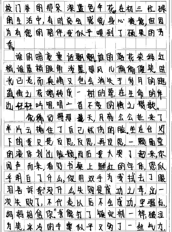 中考满分作文800字